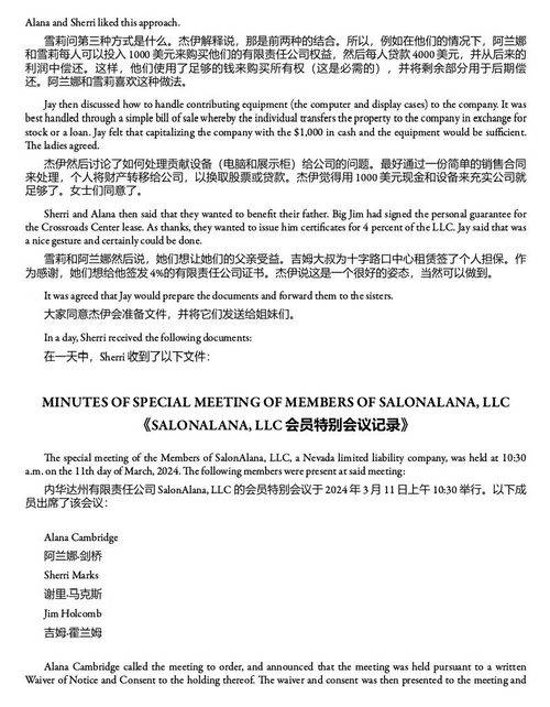 自主运营公司完全指南：合法运营与长期维护实操手册 (中英双语