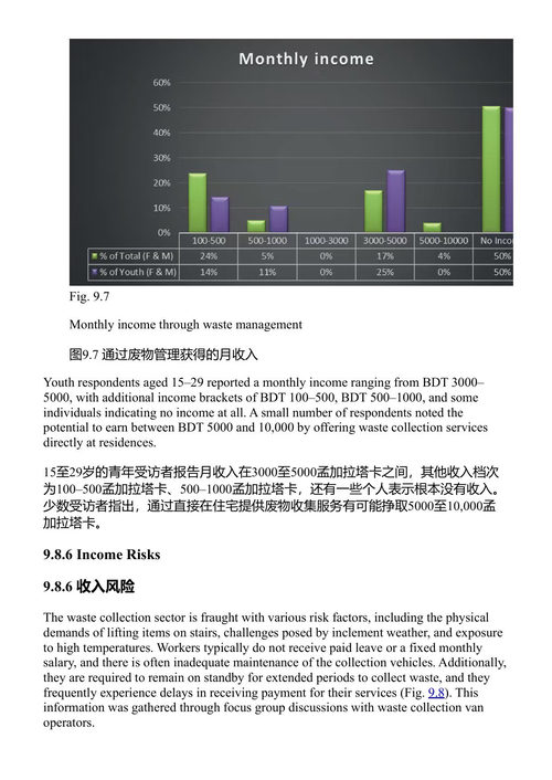 发展中国家废物管理案例研究：可持续实践与价值创造 穆罕默德·