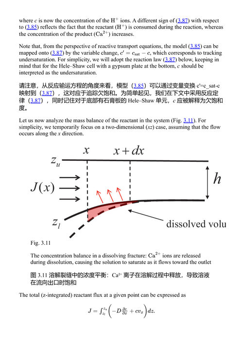 固体的流体流动与相变 迈克尔·贝哈努  (中英对照电子书)