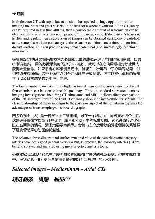 人体断层解剖学图谱:(中英对照电子书)