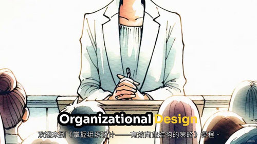 组织设计精通实战课（中文字幕英文视频教程）