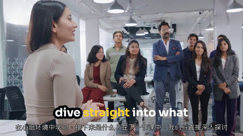 组织设计精通实战课（中文字幕英文视频教程）