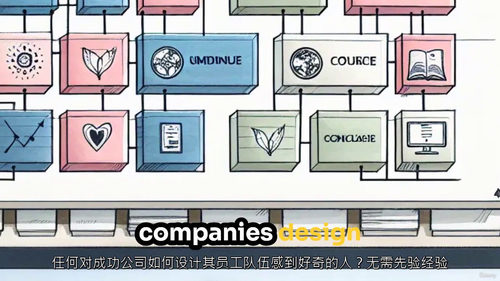 组织设计精通实战课（中文字幕英文视频教程）