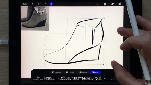 Procreate设计师鞋子绘制教程 (中文字幕英文视频教程