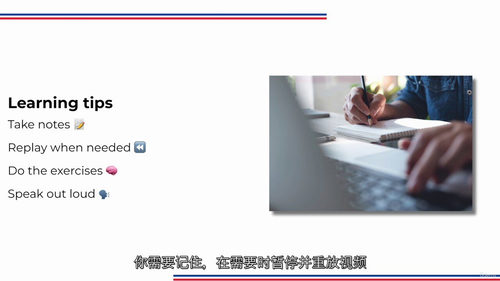 商务法语实战课程 —— 专业人士法语进阶指南 (中文字幕英文