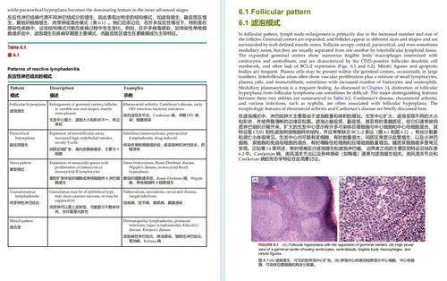 奈姆血液病理学图谱：形态学、免疫表型、细胞遗传学及分子生物学