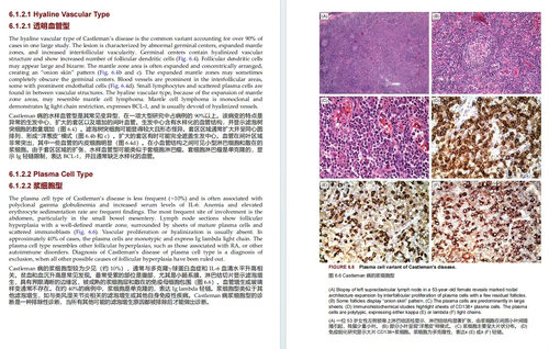 奈姆血液病理学图谱：形态学、免疫表型、细胞遗传学及分子生物学