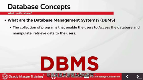 Oracle SQL实战训练营
