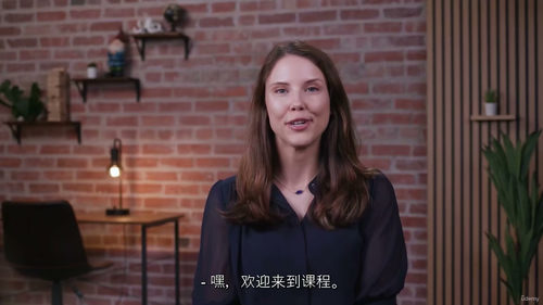 HR职业教练实战教程