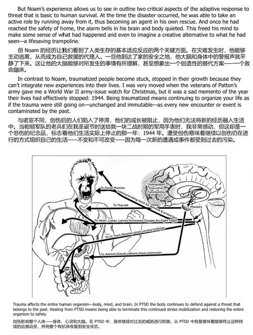 身体从未忘记：创伤疗愈中的大脑、心智与身体 (中英双语电子书