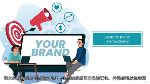 非营利组织品牌塑造——打造专业品牌形象(中文字幕英文视频教程