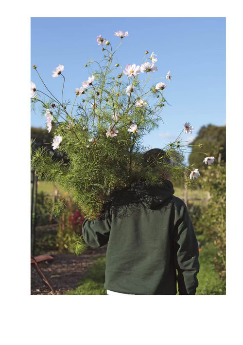 花繁叶茂 格雷姆·科比特 （中英对照电子书）