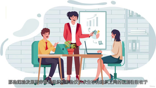 非营利组织大额捐赠筹款全攻略 (中文字英文视频教程)