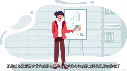 非营利组织大额捐赠筹款全攻略 (中文字英文视频教程)