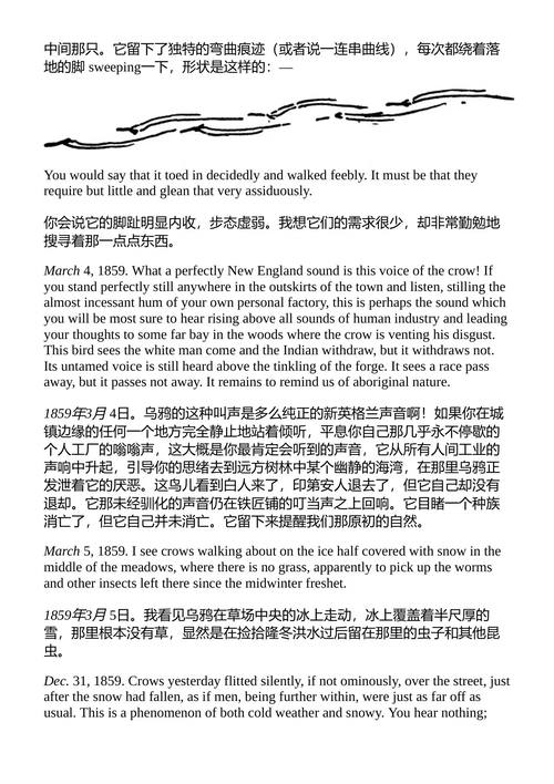 梭罗新英格兰鸟类笔记 亨利·大卫·梭罗 (中英对照电子书)