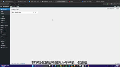 WooCommerce零基础实战教程