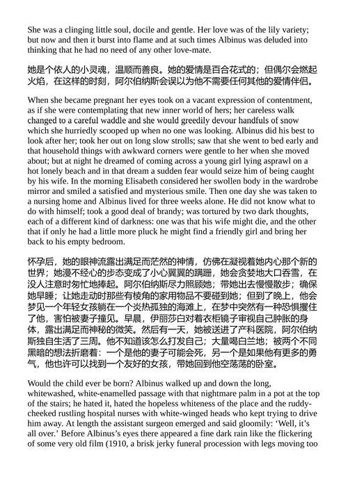 黑暗中的笑声 弗拉基米尔·纳博科夫 (英文电子书)
