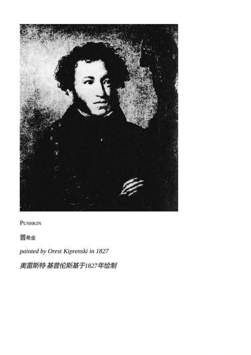 叶夫根尼·奥涅金 亚历山大·普希金 (英文电子书)