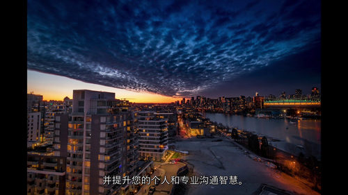 L2成功大师:迈向卓越的进阶之道 (中文字幕英文视频教程)
