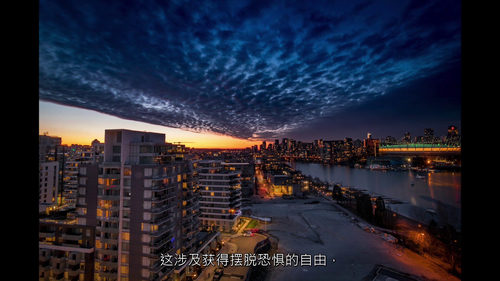 L2成功大师:迈向卓越的进阶之道 (中文字幕英文视频教程)