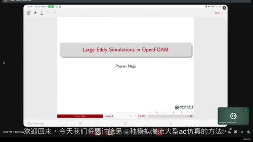 OpenFOAM实用大涡模拟(LES)教程