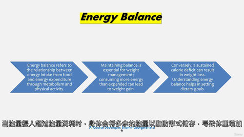 精通营养科学：从基础到未来趋势（中文字幕英文视频教程）