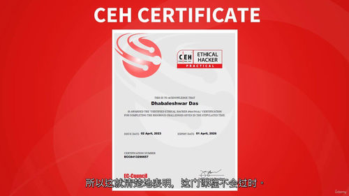 开启网络安全防护之旅：CEH实践课程全解析
