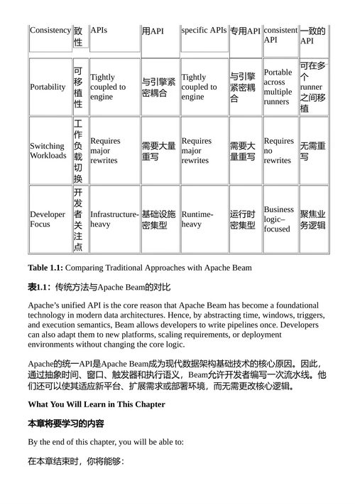 用Apache Beam构建数据管道 努日·梅恩 （中英对照