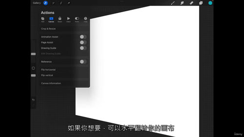 Procreate绘画创作实战:从入门到精通 (中文字幕英