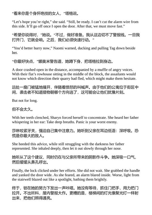 信任不可信 詹姆斯·罗林斯 （中英对照电子书）