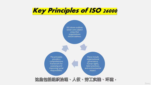 精通ISO 26000——社会责任核心要义课程