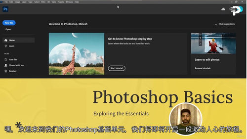 2024 Photoshop 零基础教程
