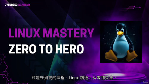 Linux精通：从入门到精通