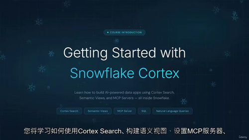 Snowflake Cortex入门:云端AI数据分析实战