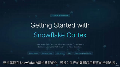 Snowflake Cortex入门:云端AI数据分析实战