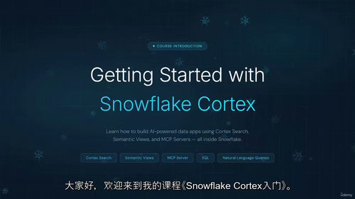 Snowflake Cortex入门：云端AI数据分析实战