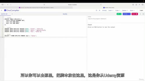 SQL面试速查指南:掌握SQL模式 (英文视频课程,中文外挂