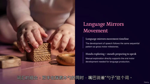 蒙特梭利0-3岁早教视频课