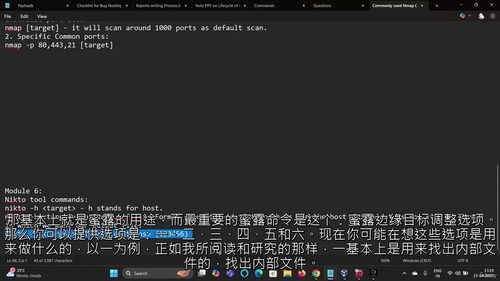 Nmap 道德黑客实战训练营:漏洞赏金大师班(中文字幕英文视