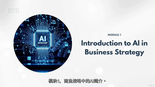 人工智能（AI）商业战略实战教程 (中文字英文视频教程)