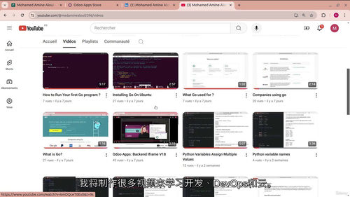 Python 中级进阶与 PCAP 认证通关教程（中文字幕英