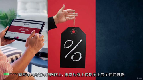 定价精通:利润倍增定价体系 (中文字英文视频教程)