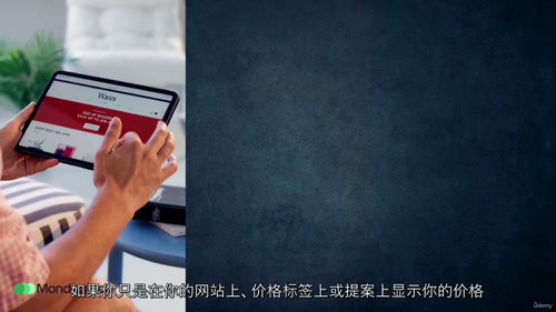 定价精通:利润倍增定价体系 (中文字英文视频教程)