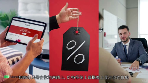 定价精通:利润倍增定价体系 (中文字英文视频教程)