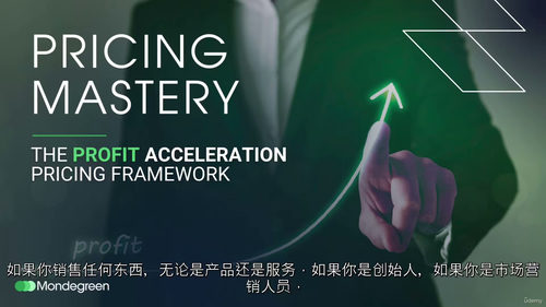 定价精通：利润倍增定价体系 (中文字英文视频教程)