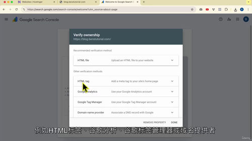 Google Search Console 从入门到精通：页面索引与错误修复指南