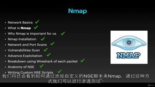 Nmap 网络安全与漏洞挖掘实战指南 2025 (中文字幕英