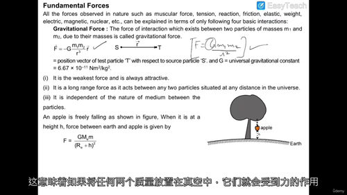 牛顿运动定律视频教程