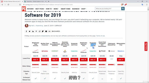 网络安全零基础入门指南(第四部分) (中文字幕英文视频教程)