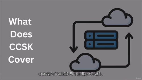 CCSK 认证速成课程:云安全简明教程
